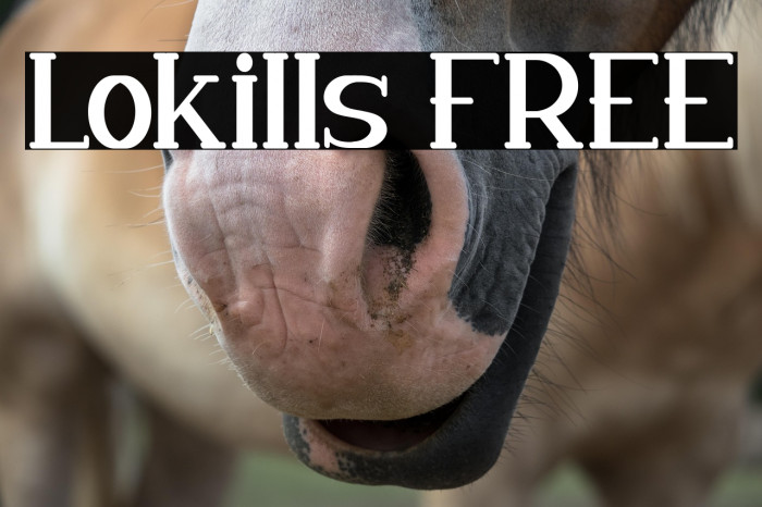 Lokills FREE Example 2