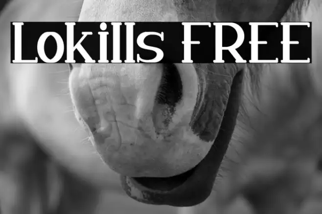 Lokills FREE Example 2