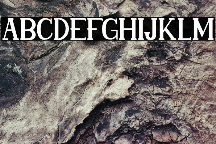 LokillsFREE Example 1