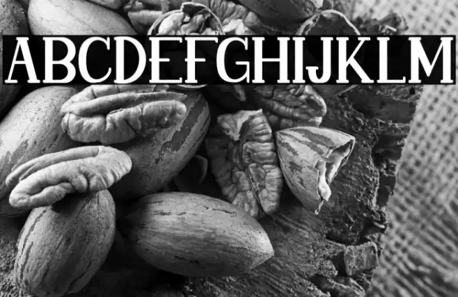 LokillsFREE Font examples