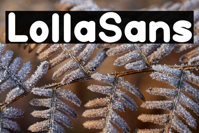 Lolla Sans Example 2