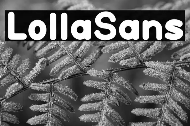 Lolla Sans Example 2