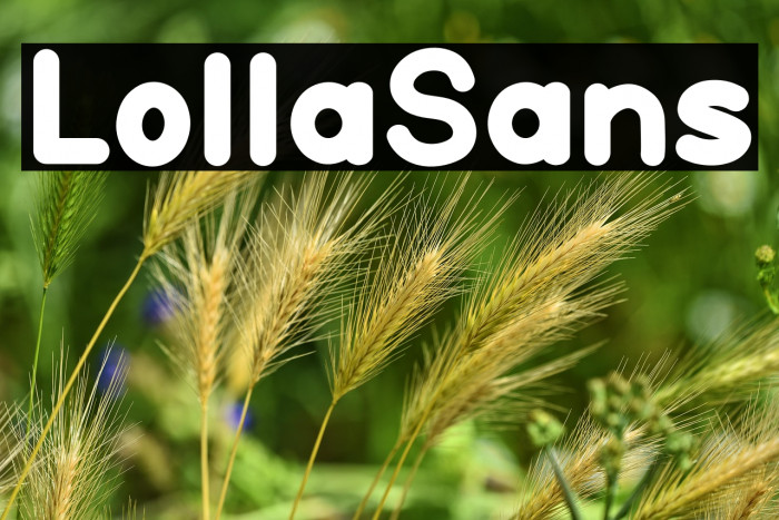 Lolla Sans Example 3
