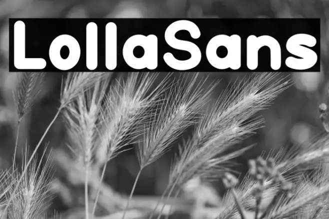 Lolla Sans Example 3