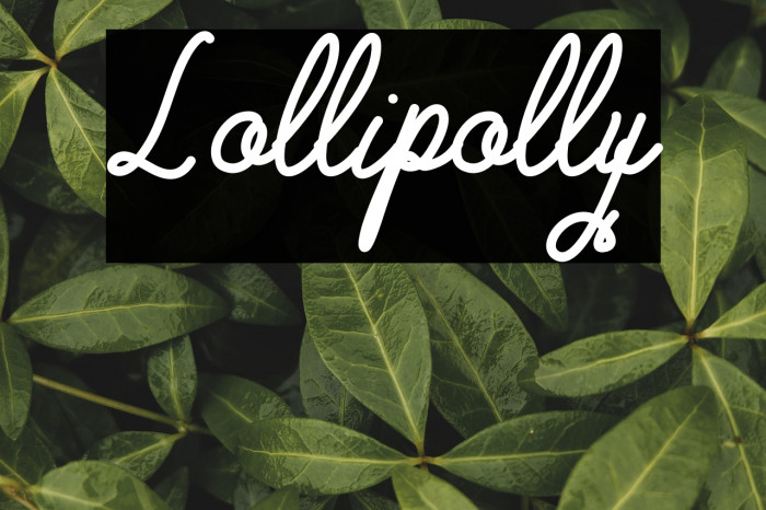 Lollipolly Example 3