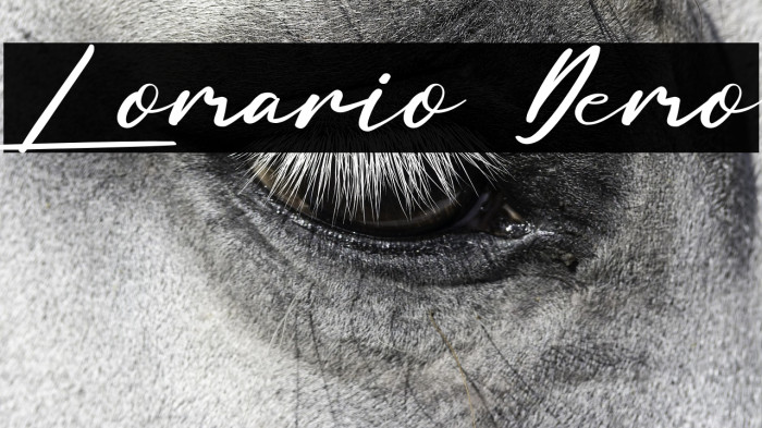 Lomario Demo Example 1