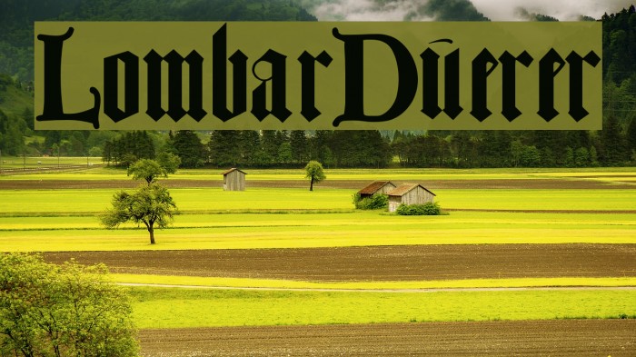 LombarDuerer Font examples