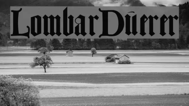 LombarDuerer Example 2