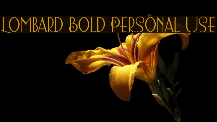 Lombard Bold Personal Use Example 2