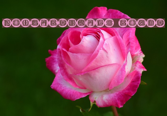 LombardiCaps Round Font examples