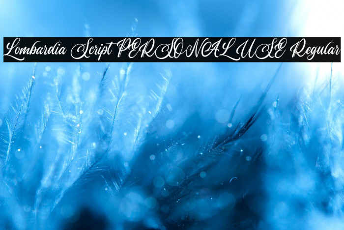 Lombardia Script PERSONAL USE Regular Example 3