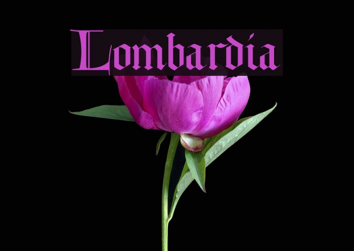 Lombardia Font examples