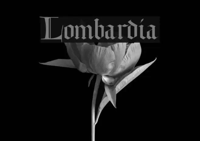 Lombardia Example 1