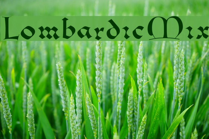 LombardicMix Example 2