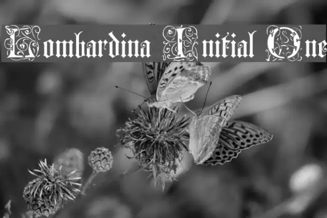 Lombardina Initial One Schriftart examples