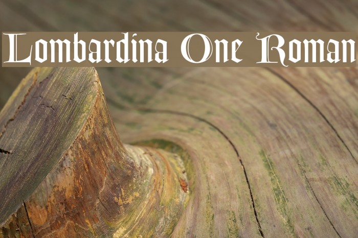 Lombardina One Roman Example 1