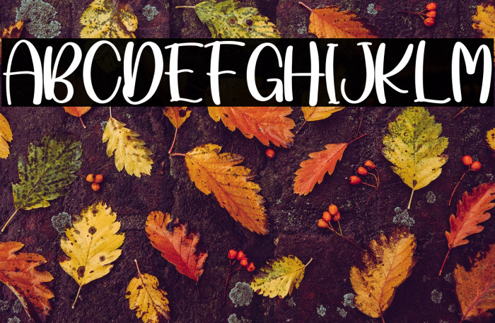 Lombok Beach Example 1