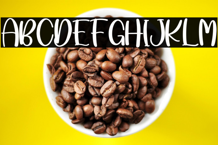 Lombok Beach Example 2