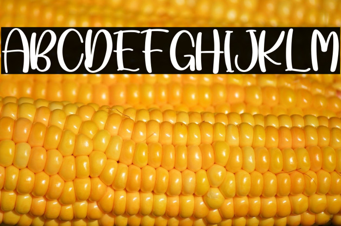 Lombok Beach Example 3