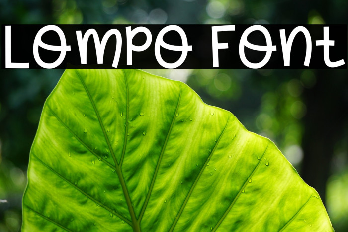 Lompo Font examples