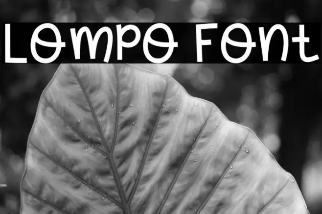 Lompo Example 1