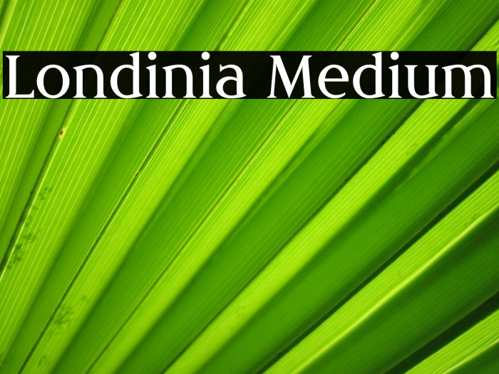 Londinia Medium Font examples