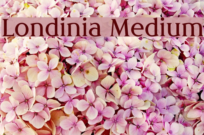 Londinia Medium Font examples