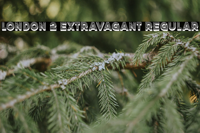 London 2 Extravagant Regular Example 3