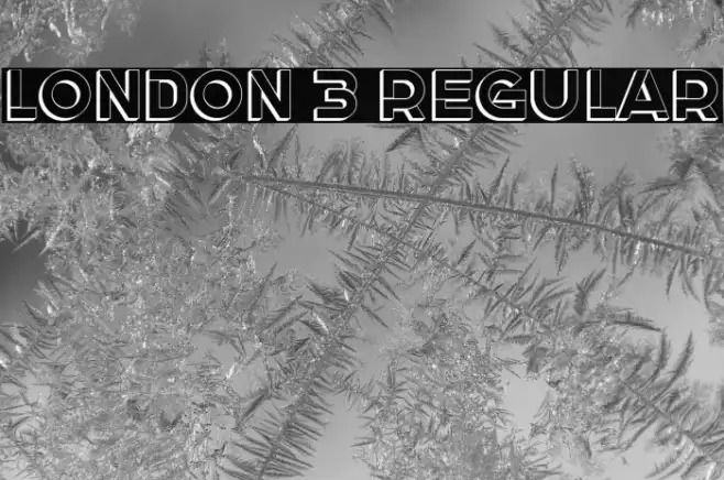 London 3 Regular Example 2