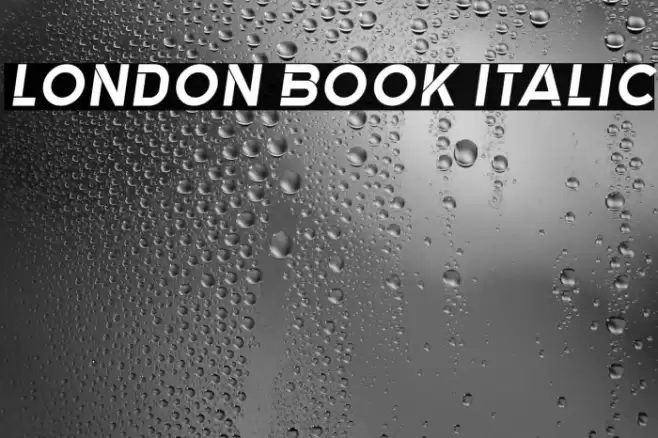 London Book Italic Font examples