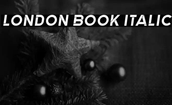 London Book Italic Font examples