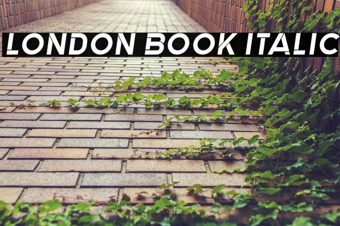 London Book Italic Example 3
