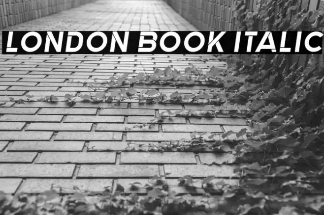 London Book Italic Font examples