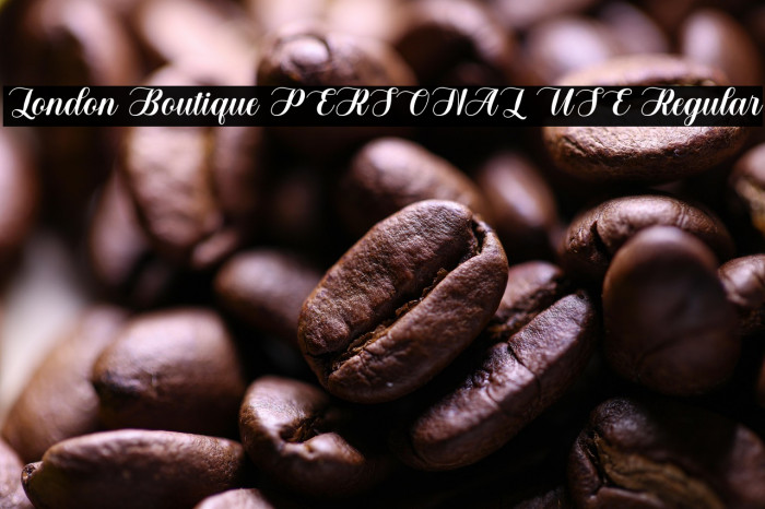 London Boutique PERSONAL USE Regular Example 1