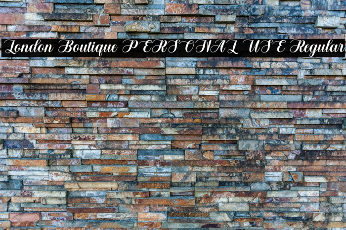 London Boutique PERSONAL USE Regular Example 3