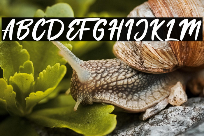 London Calling Example 1