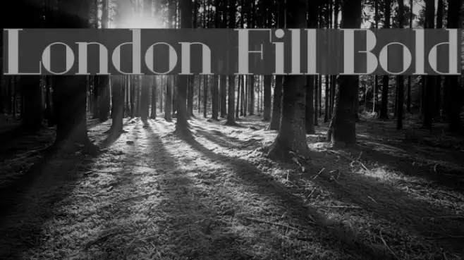 London Fill Bold Example 3