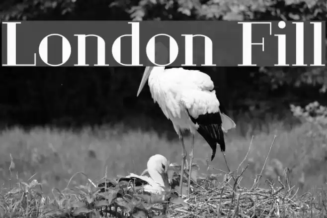 London Fill Font examples
