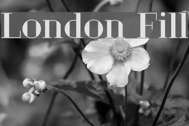 London Fill Font examples