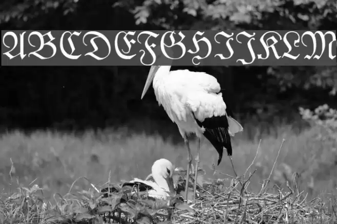 London Fraktura Font examples