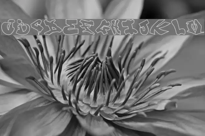 London Graffiti Alphabet Font examples