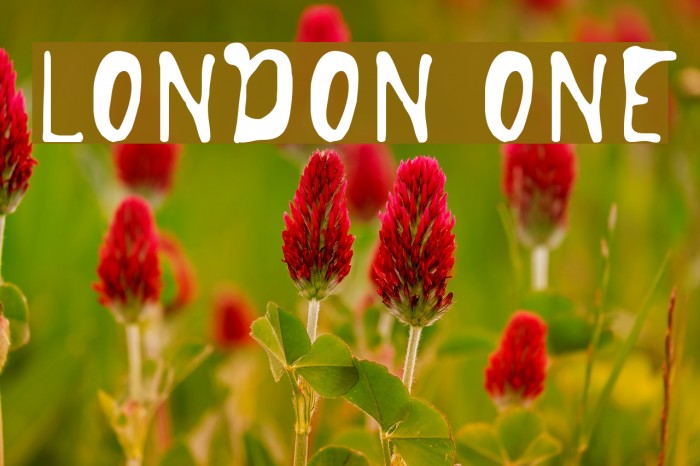 London One Font examples