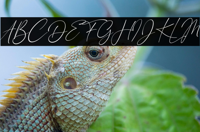 London Signature Italic Example 1