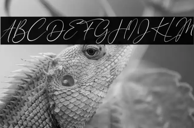 London Signature Italic Font examples