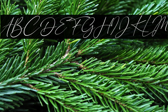 London Signature Italic Example 2