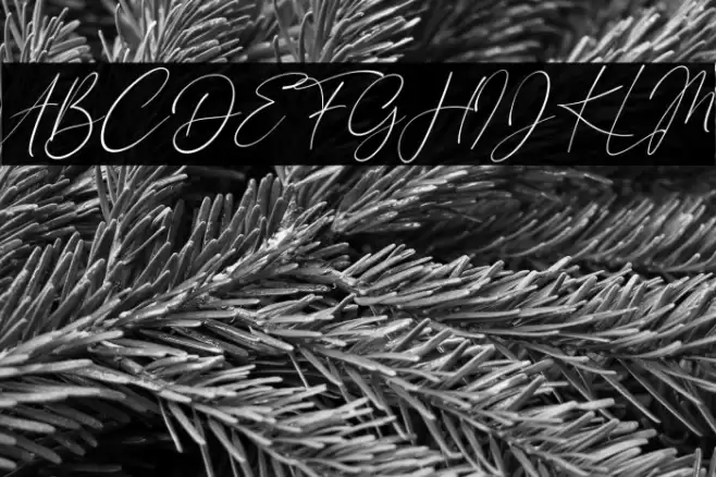 London Signature Italic Font examples