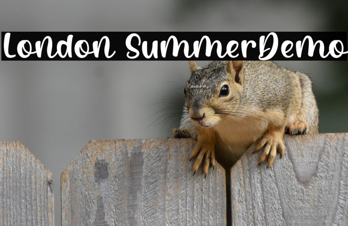 London SummerDemo Example 3