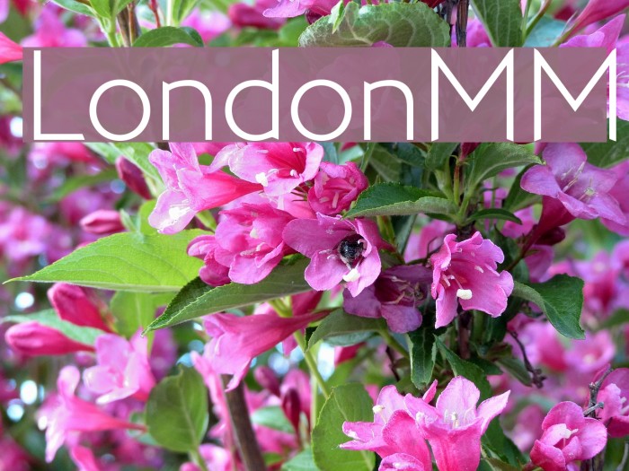 LondonMM Font examples