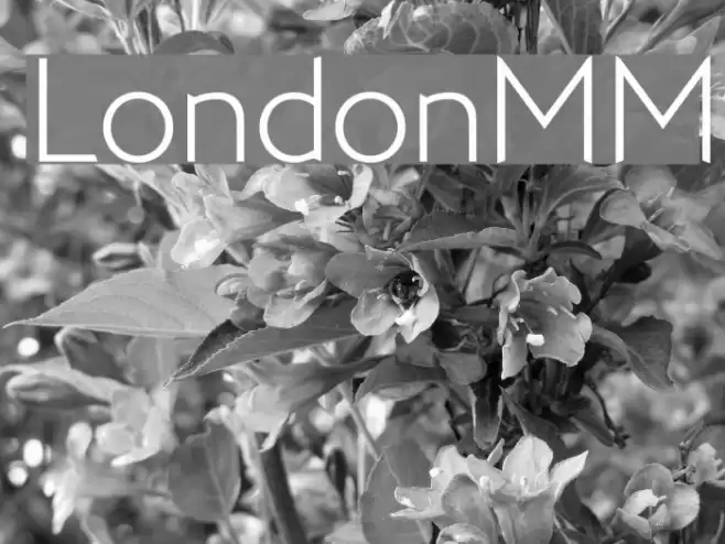 LondonMM Шрифта examples