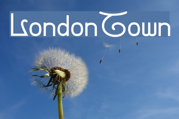 LondonTown Example 3